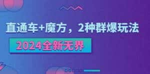 2024全新无界：直通车+魔方，2种群爆玩法-优优云创网