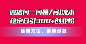 （11486期）微信问一问暴力引流术，稳定日引300+创业粉，最新方法，条条爆款-优优云创网