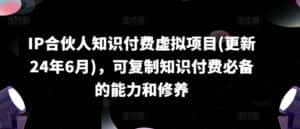 IP合伙人知识付费虚拟项目(更新24年6月),可复制知识付费必备的能力和修养-优优云创网