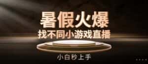 暑假火爆找不同小游戏直播间,小白秒上手-优优云创网
