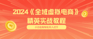 月入五位数 干就完了 适合小白的全域虚拟电商项目+交付手册-优优云创网