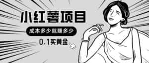 (11504期)小红薯暴力项目,0.1买黄金。操作简单,日入无上限,可无限扩大。-优优云创网