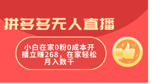 (11521期)拼多多无人直播,小白在家0粉0成本开播立赚268,在家轻松月入数千-优优云创网
