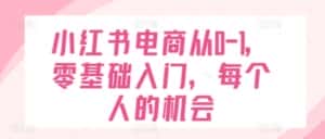 小红书电商从0-1,零基础入门,每个人的机会-优优云创网