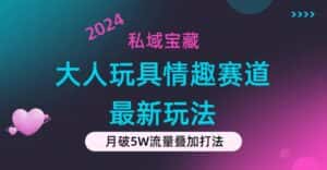 (11541期)私域宝藏:大人玩具情趣赛道合规新玩法,零投入,私域超高流量成单率高-优优云创网
