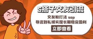 （11548期）某收费888-S搭子交友引流，交友粉打法 sop，导流到私域实现长期稳定盈利-优优云创网