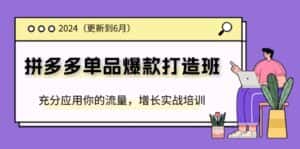 (11556期)2024拼多多-单品爆款打造班(更新6月),充分应用你的流量,增长实战培训-优优云创网