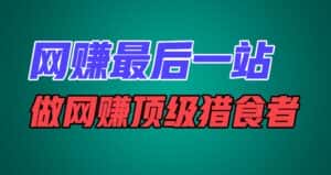 网赚最后一站，卖项目，做网赚顶级猎食者-优优云创网
