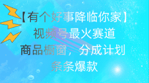 （11564期）有个好事 降临你家：视频号最火赛道，商品橱窗，分成计划 条条爆款，每…-优优云创网