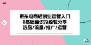 (11569期)京东电商-轻创业运营入门0基础通识及经验分享:选品/流量/推广/运营-优优云创网