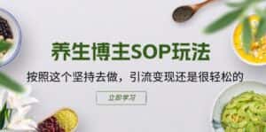 (11572期)养生博主SOP玩法,按照这个坚持去做,引流变现还是很轻松的-优优云创网