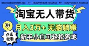 (11574期)淘宝无人带货3.0高收益玩法,月入3万+,无脑躺赚,新手小白可落地实操-优优云创网