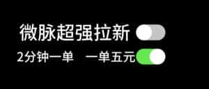 （11580期）微脉超强拉新， 两分钟1单， 一单利润5块，适合小白-优优云创网