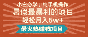 2024暑假最赚钱的项目，简单无脑操作，每单利润最少500+，轻松月入5万+-优优云创网