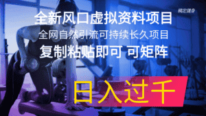 (11587期)全新风口虚拟资料项目 全网自然引流可持续长久项目 复制粘贴即可可矩阵…-优优云创网