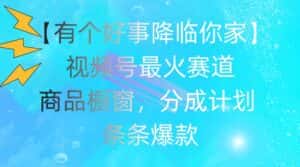 【有个好事降临你家】视频号爆火赛道，商品橱窗，分成计划，条条爆款-优优云创网