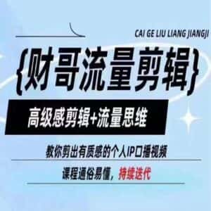 财哥流量剪辑,高级感剪辑+流量思维,教你剪出有质感的个人IP口播视频-优优云创网