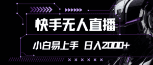 （11603期）快手无人直播，小白易上手，轻轻松松日入2000+-优优云创网