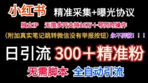 小红薯精准采集＋无限曝光＋真实笔记跳转微信，永不屏蔽（日引300＋精准粉）-优优云创网