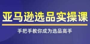 亚马逊选品实操课程,快速掌握亚马逊选品的技巧,覆盖亚马逊选品所有渠道-优优云创网