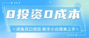(11614期)最新风口项目闲鱼空调3.0玩法,月入过万,真正的0成本0投资项目-优优云创网