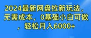 2024最新网盘拉新玩法,无需成本,0基础小白可做,轻松月入6000+-优优云创网