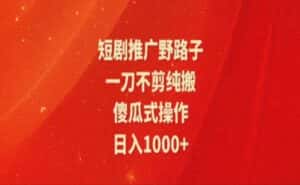 (11642期)暑假风口项目,短剧推广全新玩法,一刀不剪纯搬运,轻松日入1000+-优优云创网