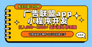 （11645期）小程序开发 广告赚钱 日入500~1000+ 小白轻松上手！-优优云创网