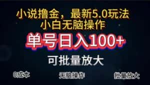 (11651期)全自动小说撸金,单号日入100+小白轻松上手,无脑操作-优优云创网