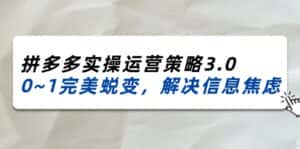 2024-2025拼多多实操运营策略3.0,0~1完美蜕变,解决信息焦虑(38节)-优优云创网