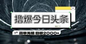 (11665期)撸爆今日头条 简单无脑操作 日收2000+-优优云创网