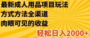 最新成人用品项目玩法,方式方法全渠道,肉眼可见的收益,轻松日入2000+-优优云创网