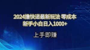 (11680期)2024撸快递最新玩法零成本新手小白日入1000+-优优云创网