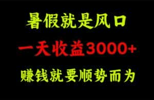 (11670期)一天收益3000+ 赚钱就是顺势而为,暑假就是风口-优优云创网