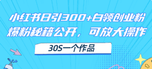 (11692期)小红书日引300+高质白领创业粉,可放大操作,爆粉秘籍!30s一个作品-优优云创网