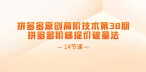 (11704期)拼多多原创高阶技术第38期,拼多多阶梯提价破量法(14节课)-优优云创网