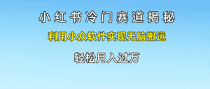 小红书冷门赛道揭秘,利用小众软件实现无脑搬运,轻松月入过万-优优云创网