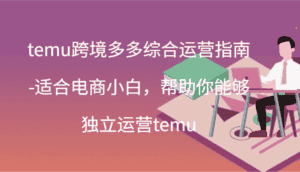 temu跨境多多综合运营指南-适合电商小白,帮助你能够独立运营temu(44节)-优优云创网