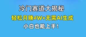 冷门赛道大揭秘,轻松月赚1W+无需AI生成,小白也能上手-优优云创网