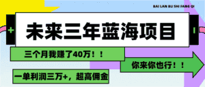 (11716期)未来三年,蓝海赛道,月入3万+-优优云创网