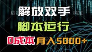 (11721期)解放双手,脚本运行,0成本月入5000+-优优云创网
