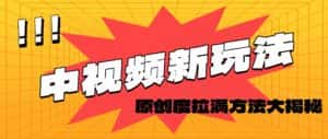 （11735期）轻松原创，高效爆款领域揭秘！-优优云创网