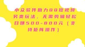 （11736期）小众软件助力QQ短视频另类玩法，无需剪辑轻松日赚500-800元（支持矩阵…-优优云创网