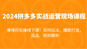 2024拼多多实战运营现场课,实时玩法,爆款打造,选品、规则解析,难得的实操线下课!-优优云创网