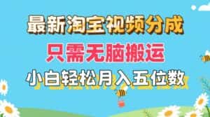 (11744期)最新淘宝视频分成,只需无脑搬运,小白也能轻松月入五位数,可矩阵批量…-优优云创网