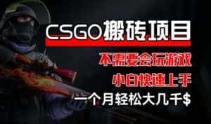 CSGO 装备搬砖项目,操作简单,不需要会玩游戏,小白也能快速上手,一个月轻松大几千-优优云创网
