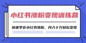 2024小红书19天涨粉变现特训营,快速学会小红书涨粉,月入十万轻松变现(42节)-优优云创网
