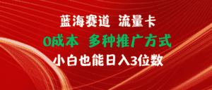 （11768期）蓝海赛道 流量卡 0成本 小白也能日入三位数-优优云创网