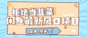 (11781期)拒绝当韭菜!闲鱼最新风口项目,0成本0投资,当日出单,日入1000+-优优云创网