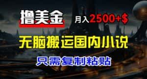 最新撸美金项目,搬运国内小说爽文,只需复制粘贴,稿费月入2500+美金,新手也能快速上手-优优云创网